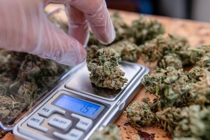 Down for any drugs deal (773) 696-0247 Down for any drugs deal (773) 696-0247