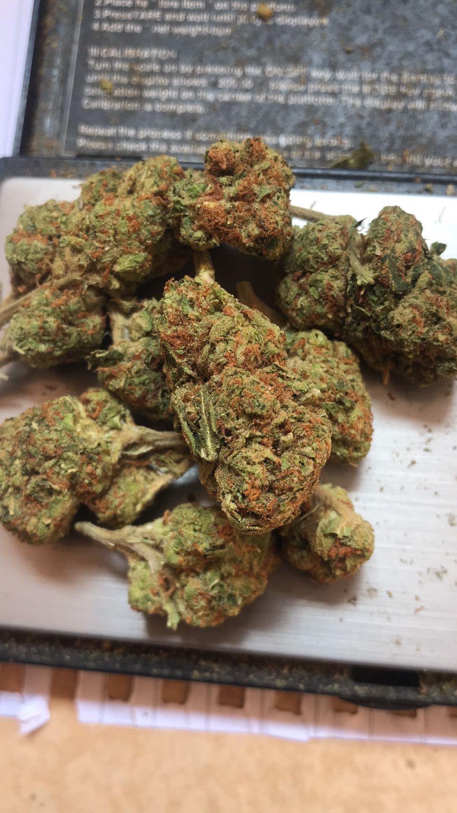 I’m Down to fuck i cant stand it, I'v got the best buds/strains for sale. I’m Down to fuck i cant stand it, I'v got the best buds/strains for sale.