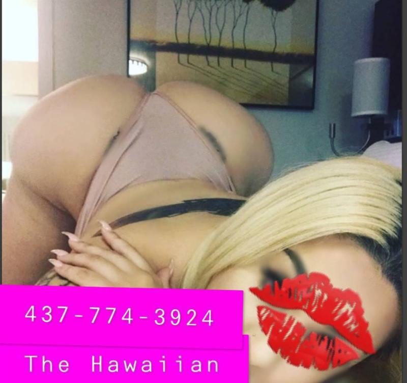 New In Town! Outcalls Only! The Hawaiian Princess ;)