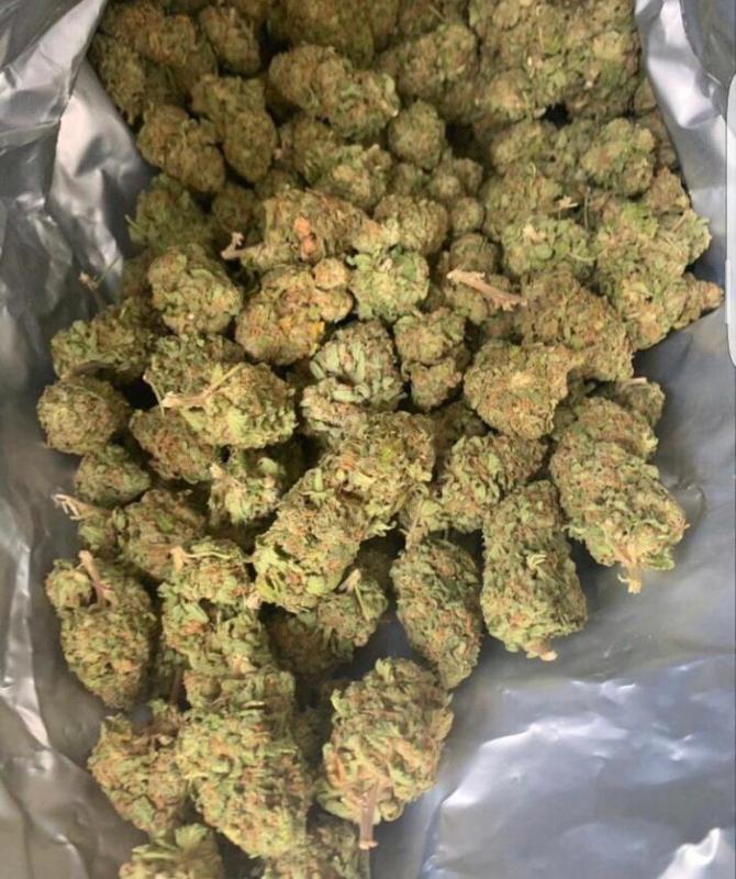 Sexy redhead got weeds and cocaine