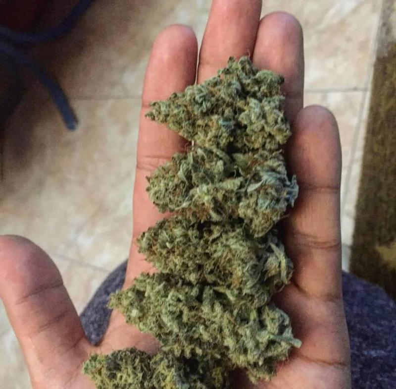 Weed, drug and pills seller